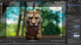 BLENDER BOOTCAMP